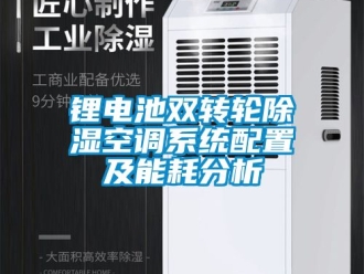 行业新闻锂电池双转轮除湿空调系统配置及能耗分析