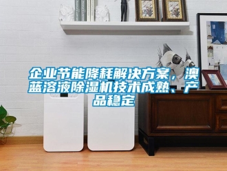 行业新闻企业节能降耗解决方案，澳蓝溶液除湿机技术成熟、产品稳定