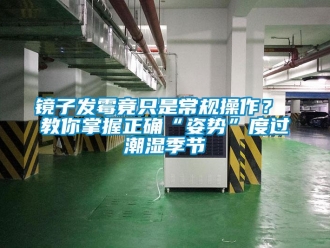 行业新闻镜子发霉竟只是常规操作？ 教你掌握正确“姿势”度过潮湿季节