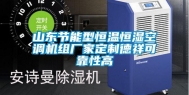 山东节能型恒温恒湿空调机组厂家定制德祥可靠性高