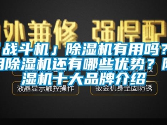企业新闻「战斗机」除湿机有用吗？使用除湿机还有哪些优势？除湿机十大品牌介绍