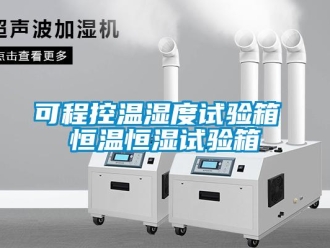 知识百科可程控温湿度试验箱 恒温恒湿试验箱
