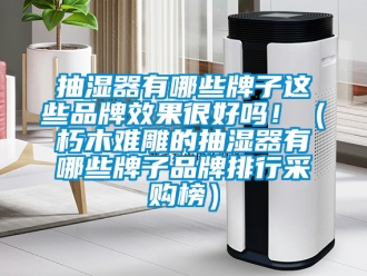 企业新闻抽湿器有哪些牌子这些品牌效果很好吗！（朽木难雕的抽湿器有哪些牌子品牌排行采购榜）