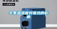 冬季温湿度对蛋鸡的影响