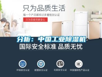 企业新闻分析：中国工业除湿机