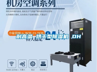 行业新闻耐高温 烘干型除湿机 DH