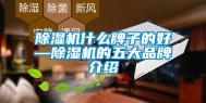 除湿机什么牌子的好—除湿机的五大品牌介绍