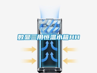知识百科数显三用恒温水箱HH