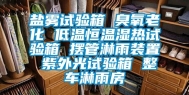 盐雾试验箱 臭氧老化 低温恒温湿热试验箱 摆管淋雨装置 紫外光试验箱 整车淋雨房