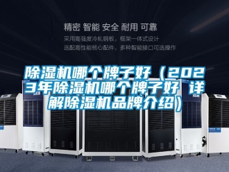 企业新闻除湿机哪个牌子好（2023年除湿机哪个牌子好 详解除湿机品牌介绍）