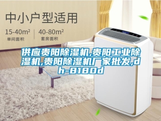 企业新闻供应贵阳除湿机,贵阳工业除湿机,贵阳除湿机厂家批发,dh-8180d