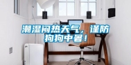 潮湿闷热天气，谨防狗狗中暑！