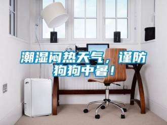 企业新闻潮湿闷热天气，谨防狗狗中暑！