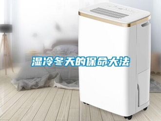 知识百科湿冷冬天的保命大法