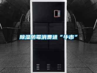 常见问题除湿防霉消费进“牛市”