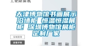 天津博物馆书画展示沿墙柜 恒温恒湿展柜 深圳博物馆展柜定制厂家