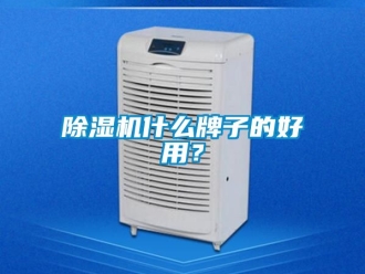 行业新闻除湿机什么牌子的好用？
