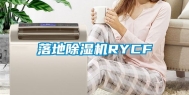 落地除湿机RYCF
