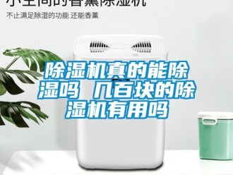 行业新闻除湿机真的能除湿吗 几百块的除湿机有用吗