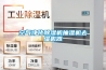 空气净化除湿机抽湿机去湿机器