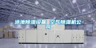 泳池除湿设备 空气除湿机公司