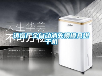 知识百科铸造厂全自动消失模模具烘干机