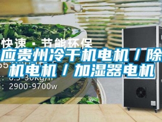 行业新闻供应贵州冷干机电机／除湿机电机／加湿器电机