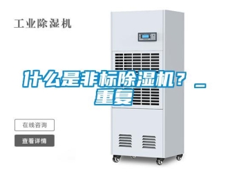 行业新闻什么是非标除湿机？_重复