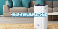 蜂巢式除湿机怎么样
