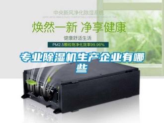 行业新闻专业除湿机生产企业有哪些