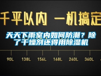 行业新闻天天下雨室内如何防潮？除了干燥剂还得用除湿机