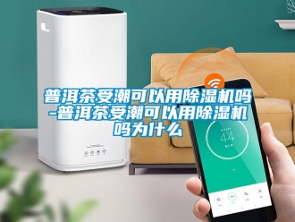 行业新闻普洱茶受潮可以用除湿机吗-普洱茶受潮可以用除湿机吗为什么