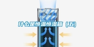 什么是恒温恒湿箱（五)