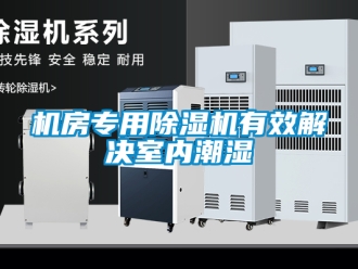 行业新闻机房专用除湿机有效解决室内潮湿