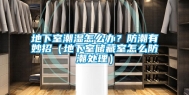 地下室潮湿怎么办？防潮有妙招（地下室储藏室怎么防潮处理）