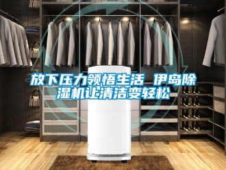 企业新闻放下压力领悟生活 伊岛除湿机让清洁变轻松