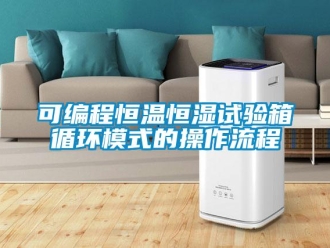 知识百科可编程恒温恒湿试验箱循环模式的操作流程