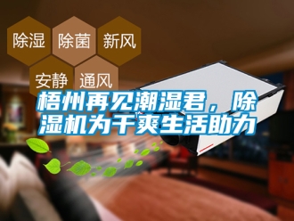 行业新闻梧州再见潮湿君，除湿机为干爽生活助力