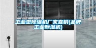 工业型除湿机厂家直销(品牌工业除湿机)