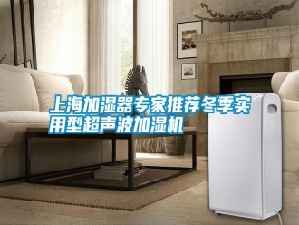 知识百科上海加湿器专家推荐冬季实用型超声波加湿机