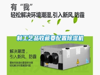 知识百科制工艺品收藏要配置除湿机