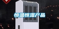 恒温恒湿产品