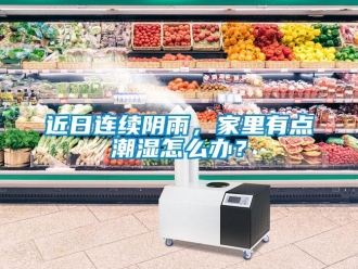 常见问题近日连续阴雨，家里有点潮湿怎么办？