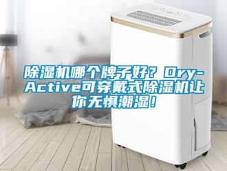 行业新闻除湿机哪个牌子好？Dry-Active可穿戴式除湿机让你无惧潮湿！