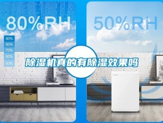 行业新闻除湿机真的有除湿效果吗