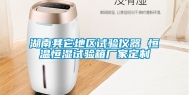湖南其它地区试验仪器 恒温恒湿试验箱厂家定制