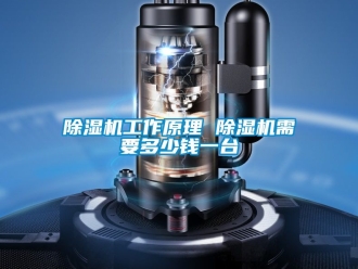行业新闻除湿机工作原理 除湿机需要多少钱一台