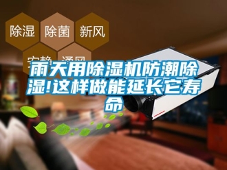 行业新闻雨天用除湿机防潮除湿!这样做能延长它寿命