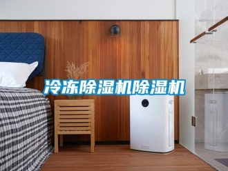 行业新闻冷冻除湿机除湿机