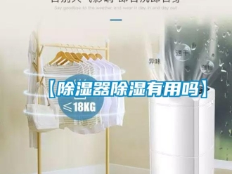 企业新闻【除湿器除湿有用吗】
